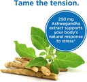one-a-day-stress-supplement-occasional-s-4.jpg