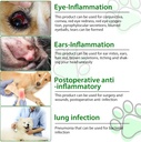 generic-antibiotics-for-dogs-dog-antibio-4.jpg