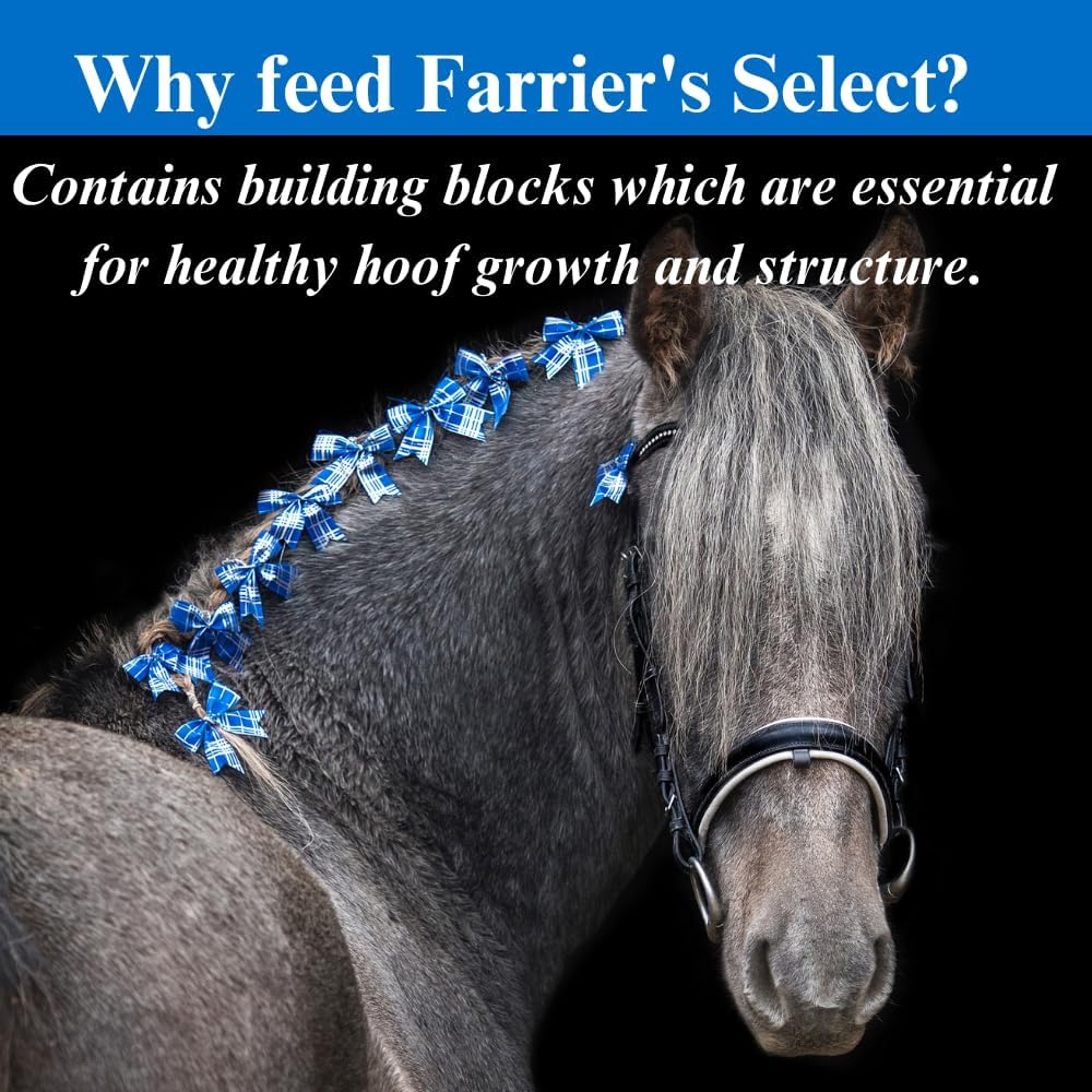 su-per-farriers-select-hoof-supplement---4.jpg