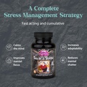 dragon-herbs---tao-in-a-bottle-capsules--2.jpg