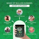 mullein-gummies---mullein-leaf-extract-f-5.jpg