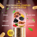 irish-sea-moss-and-himalayan-shilajit-ca-5.jpg