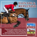 equerrys-better-horse-belly---supplement-6.jpg