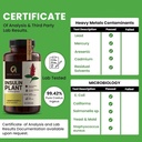 premium-quality-costus-igneus-insulin-pl-4.jpg