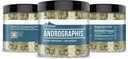 earthborn-elements-andrographis-panicula-4.jpg