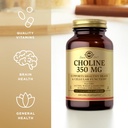 solgar-choline-350-mg---100-vegetable-ca-4.jpg