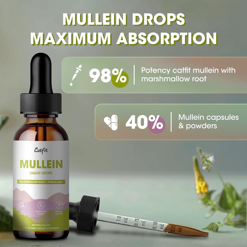 mullein-drops-for-lungs-mullein-leaf-ext-3.jpg