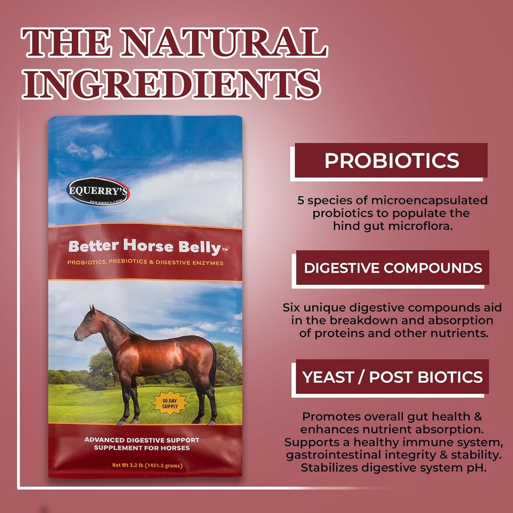 equerrys-better-horse-belly---supplement-3.jpg