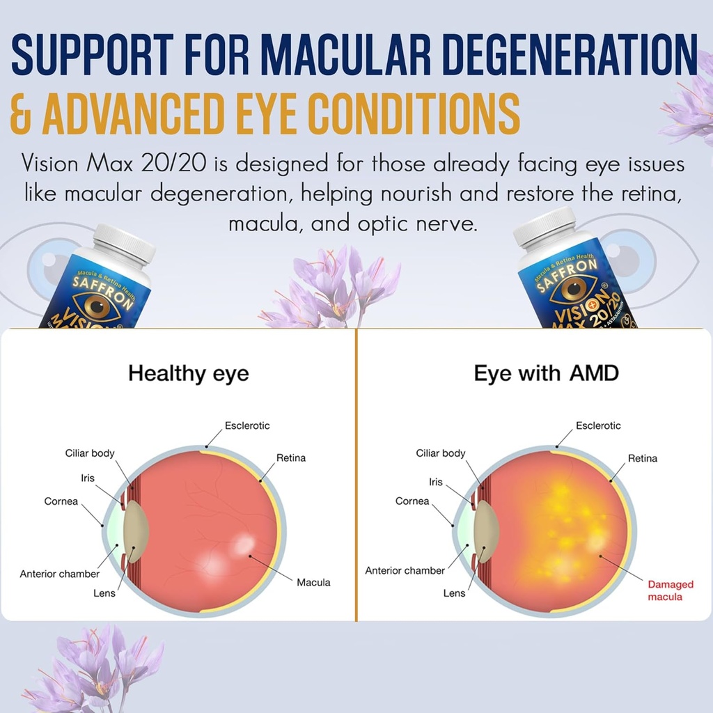 exir-visual-performance-support-eye-supp-4.jpg