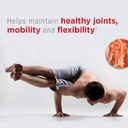 garden-of-life-joint-support-supplement--3.jpg