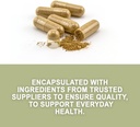 evergreen-herbs-prodigiosa-capsules---ta-2.jpg
