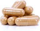 north-spore-organic-turkey-tail-extract--6.jpg