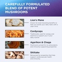 dr-emil-nutrition-10-mushroom-supplement-5.jpg