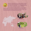 dragon-herbs-hair-and-nails-all-natural--5.jpg