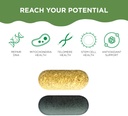 healthycell-am-pm-nutrition-for-day-nigh-3.jpg