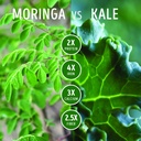 kuli-kuli-organic-moringa-greens-smoothi-6.jpg