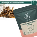 lily-of-the-valley-cordyceps-mushroom-po-3.jpg