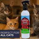 wound-healing-aid-itch-relief-spray-for--4.jpg