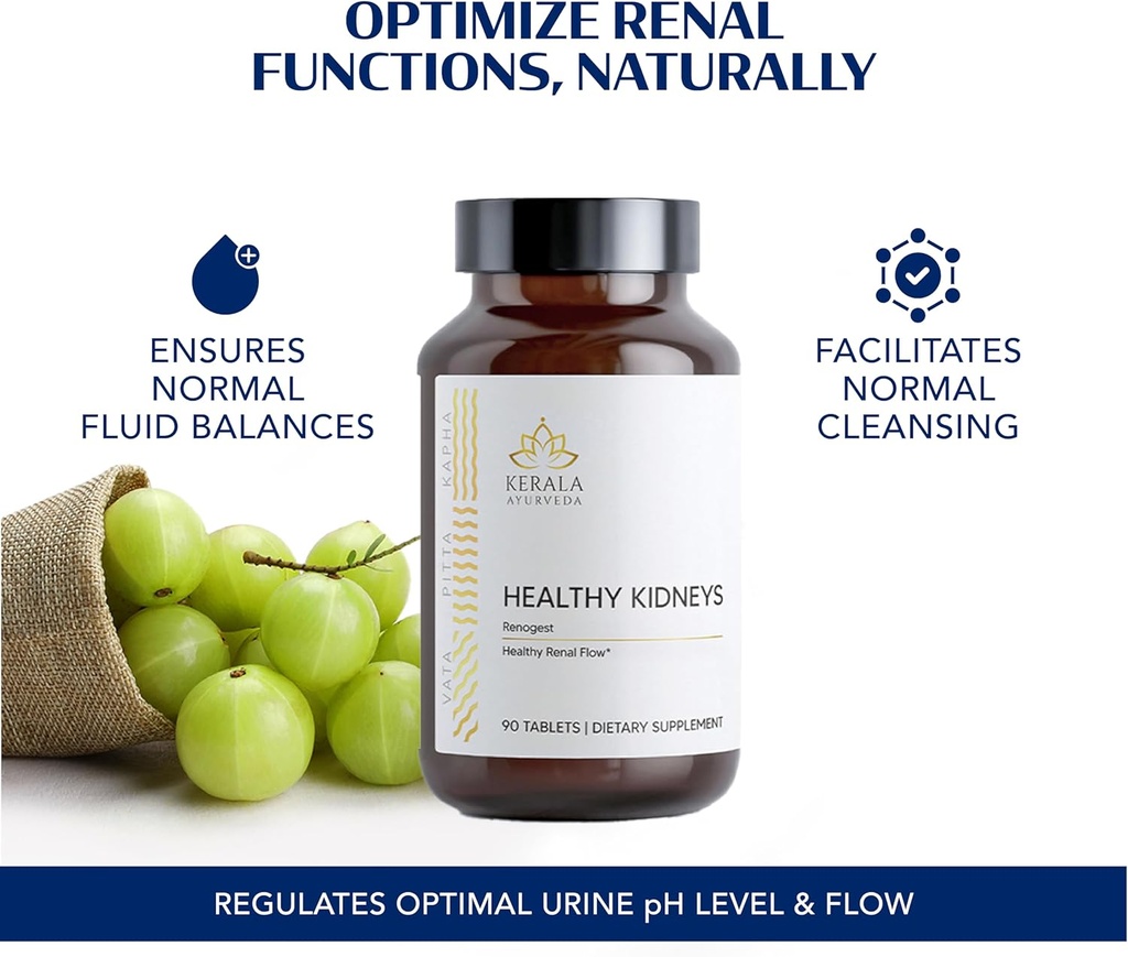 kerala-ayurveda-healthy-kidney-herbal-ta-3.jpg