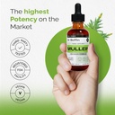 mullein-leaf-liquid-extract-2-fl-oz-pack-5.jpg