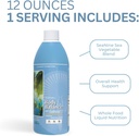youngevity-body-balance-land-sea-plant-b-5.jpg