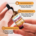 worldwide-nutrition-bundle-anumed-lipotr-3.jpg