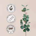 couch-grass-usda-organic-alcohol-free-ex-4.jpg