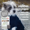 homeopet-nose-relief-safe-and-natural-si-3.jpg