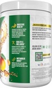 alpha-supps---alpha-greens-supplement-fr-3.jpg