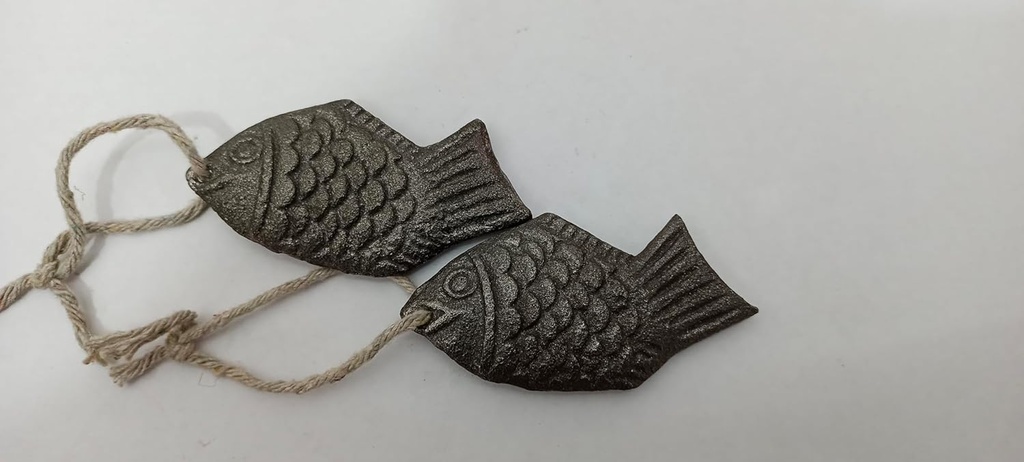 iron-fish-2-pack-fish-for-deficiency-a-n-5.jpg