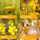 herb-pharm-kids-mullein-garlic-oil-and-b-4.jpg