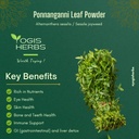 yogis-herbs-ponnanganni-leaf-powder-sess-2.jpg