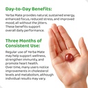 holymary-yerba-mate-gummies-quince---mad-4.jpg