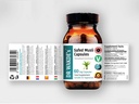 dr-wakdes-safed-musli-capsules-chlorophy-2.jpg