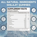 2-packs-shilajit-gummies-1000mg-sugar-fr-2.jpg