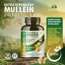 herbalicious-mullein-leaf-extract-verbas-2.jpg