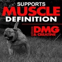 muscle-builder-for-dogs---combines-clini-4.jpg