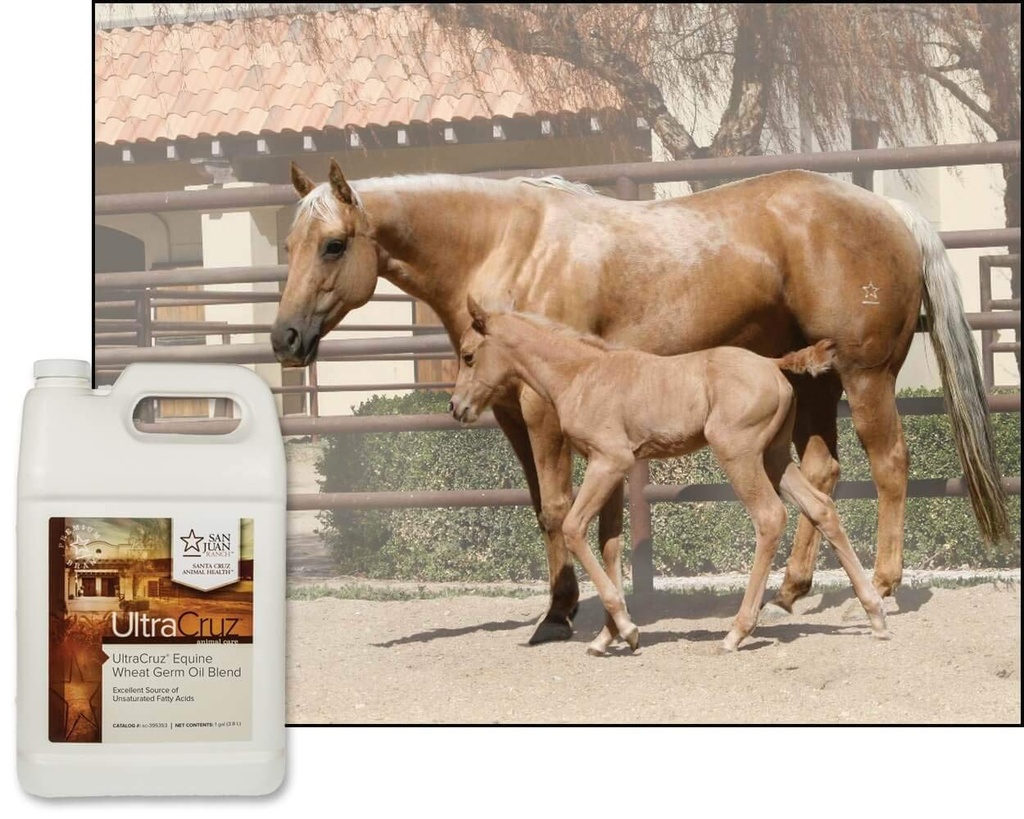ultracruz-equine-wheat-germ-oil-blend-4--4.jpg