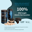 sea-cucumber-supplement-wild-caught-sea--2.jpg
