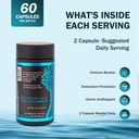 sea-cucumber-supplement-wild-caught-sea--4.jpg