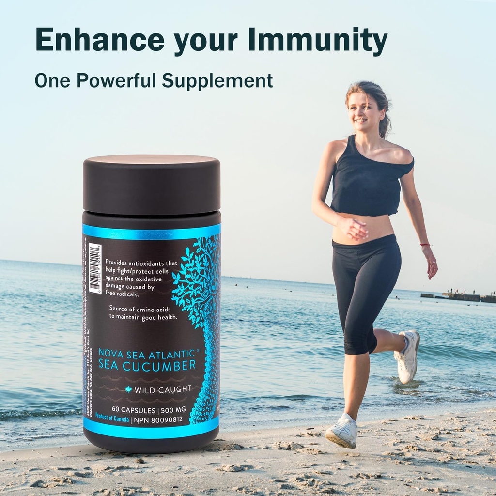 sea-cucumber-supplement-wild-caught-sea--5.jpg