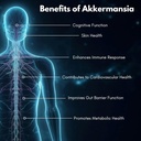 akkermansia-muciniphilia-probiotic-500-b-6.jpg
