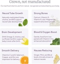 tend-daily-best-prenatal-vitamin-bar-mad-6.jpg
