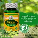 neem-capsule-azadirachta-indica-equivale-3.jpg