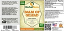 balm-of-gilead-populus-candicans-tinctur-2.jpg