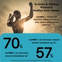 vital-muscle-boost--premium-myhmb-and-vi-4.jpg