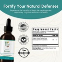 reishi-tincture---nervous-immune-system--4.jpg