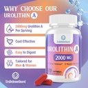 urolithin-a-supplement-2000mg-5.jpg