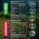 irish-sea-moss-ashwagandha-gummies---ash-2.jpg