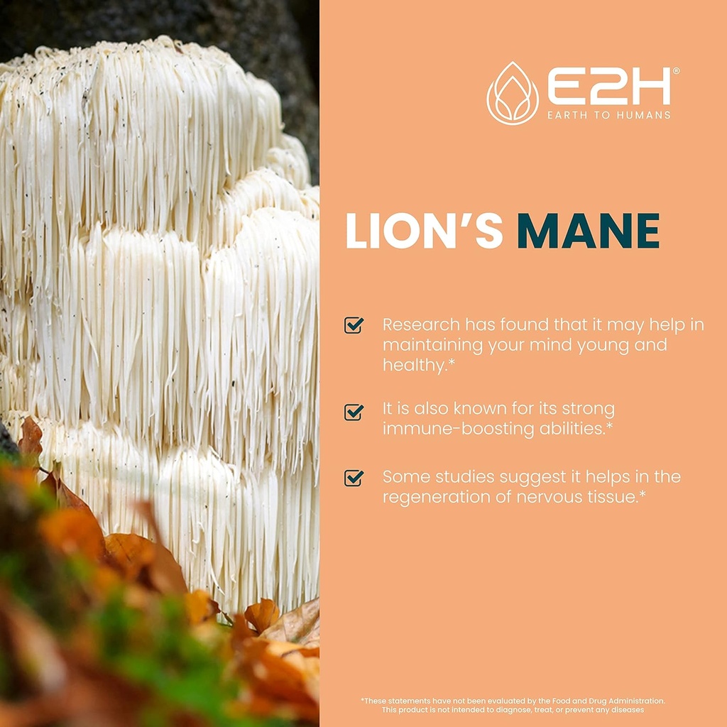 e2h-lions-mane-for-mental-clarity-sleep--2.jpg